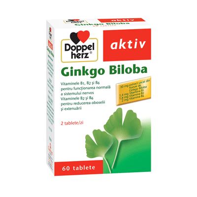 Doppelherz Aktiv Ginkgo Biloba Tablete