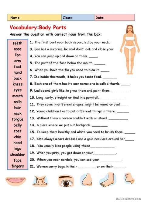 Vocabulary Body Parts English ESL Worksheets Pdf Doc