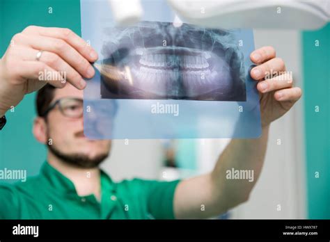 Dentist Analyzing X Ray Of Teeth Stock Photo Alamy