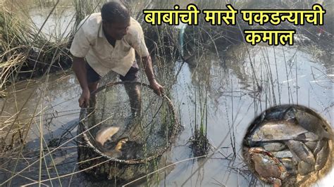 शेतातील डबक्यातील पंपाने पाणी काडुन पकडली जिताडी फ़ंटूस चिम्बोरी