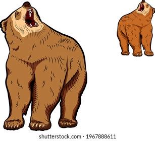 Growling Bear Stock Photos and Pictures - 4,499 Images | Shutterstock