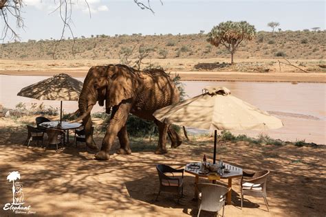 Sleeping In Samburu Elephant Bedroom Camp Emerging Destinations