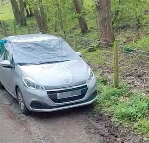 Fake Taxi With Blinds Spotted In Woods Before Man Drives Off With Naked Woman Inside Daily Star