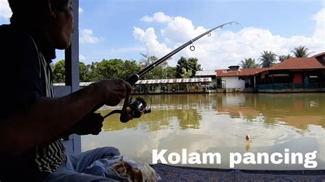 Kolam Pancing Kiloan Di Medan YouTube