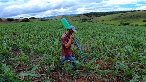 Fazendo Cobertura De Ur Ia No Milho Plantado A Plantadeira Ag