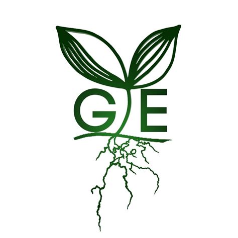 Grounded Elevation Coaching And Consulting