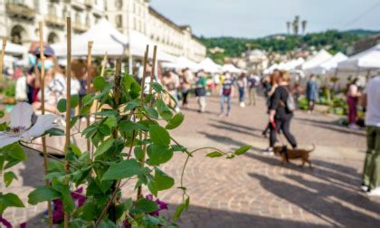 Cosa Fare A Torino E Provincia Gli Eventi Del Weekend