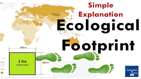 Basics Of Ecological Footprint How Many Planets Do We Need Youtube