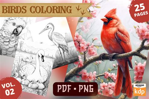 Realistic Birds Coloring Pages Vol Graphic By Sahad Stavros Studio