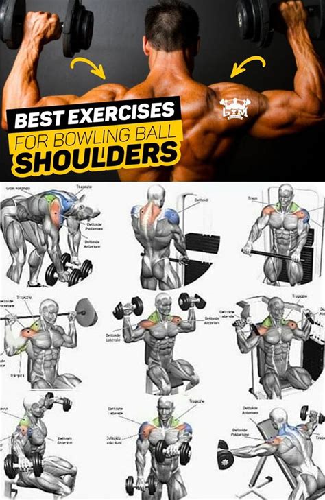 🔥how To Exercises On The Shoulders Exercise Videos And Guides