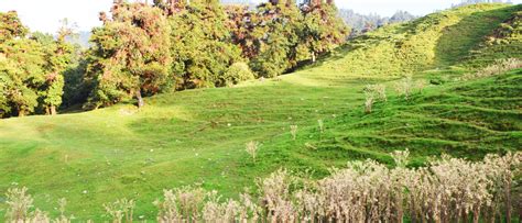 Chopta Hill Station Uttarakhand – Trekking and Hills Camping Destination