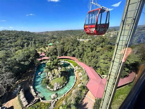 Animália Park Novo Parque De Diversões De São Paulo