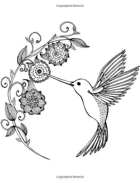 Hummingbirds And Flower Coloring Pages Sketch Coloring Page