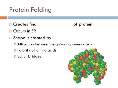 Ppt Dna Protein Synthesis And Gene Expression Powerpoint Presentation Id 3696454