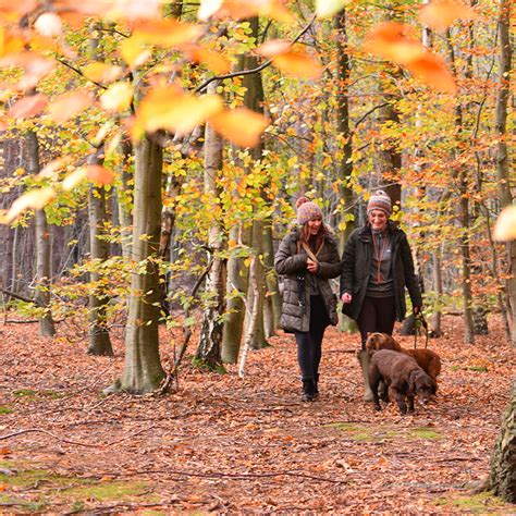 Market Rasen Walks In Woods Visit Lincolnshire