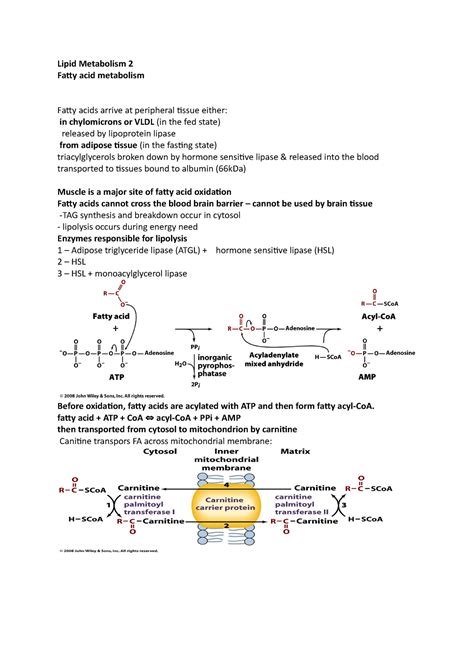 Lipid Metabolism 2 Notes Lipid Metabolism 2 Fatty Acid Metabolism