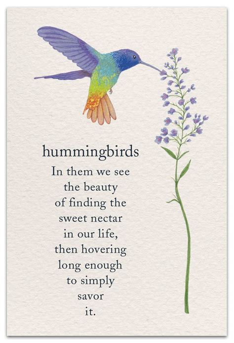 Hummingbirds Birthday Card Flower Quotes Symbols And Meanings