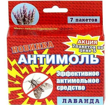 Жуки кожееды в квартире: откуда берутся и как избавиться