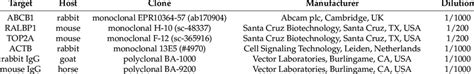 Antibodies used for Western blotting. | Download Scientific Diagram