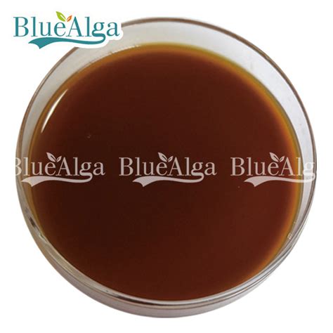 Chitosan Oligosaccharide Liquid Fertilizer China Chitosan