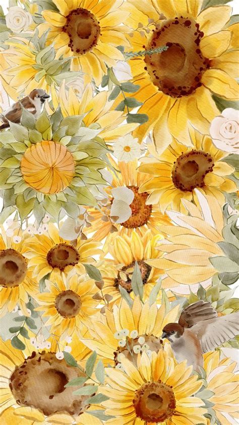 Pin By Mian Messy On Back Ground In 2024 Sunflower Wallpaper