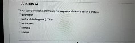 Solved Which part of the gene determines the sequence of | Chegg.com 