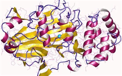 Xilosa Isomerasa Wikipedia La Enciclopedia Libre Off