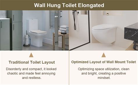 Simple Project One Piece Wall Hung Toilet System Wall Hung Toilet