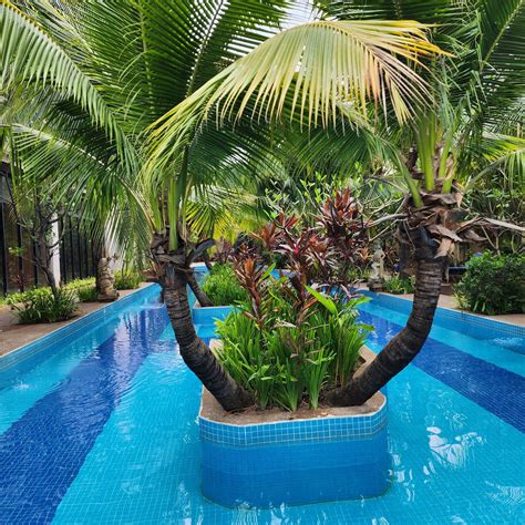 How Luxury Fashion Brands Are Embracing the Green Rush - 360 MAGAZINE