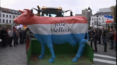 Milk Protests Target European Parliament In Brussels Bbc News