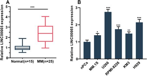 Linc Expression Was Up Regulated In Mm Samples And Cell Lines A