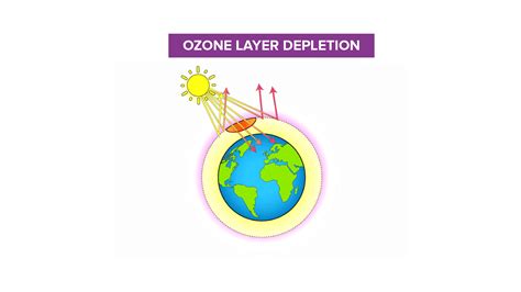 What Is The Main Reason Of Ozone Layer Depletion