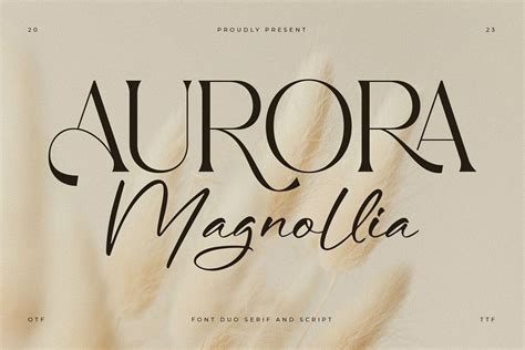 Aurora Magnollia Font Dafont Free