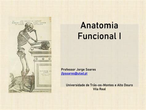 SOLUTION Anatomia geral dos ossos articulações e músculos Studypool