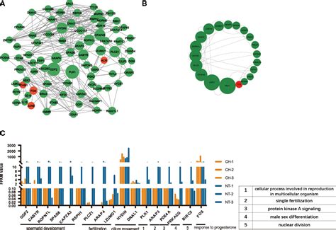 Frontiers Rna Sequencing Profiles Reveals Progressively Reduced