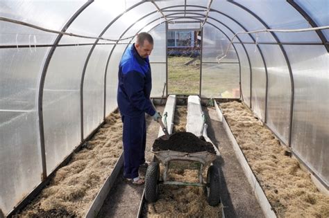 Jakie Pod O E Do Szklarni Ogrodowej Przygotowujemy Ziemi Pod Wysiew I