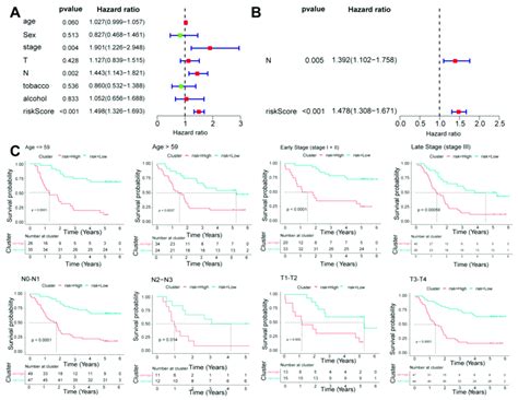 A Stratified K M Survival Analysis Across Different Clinical Features