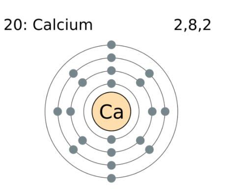 Difference Between Calcium And Calcium Citrate