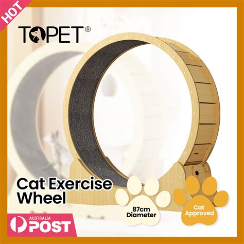 Topet Cat Exercise Wheel Toy Running Exerciser Treadmill Scratcher