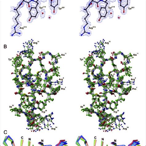 A The Final 2f O F C And F O F C Electron Density Maps Around The Download Scientific Diagram