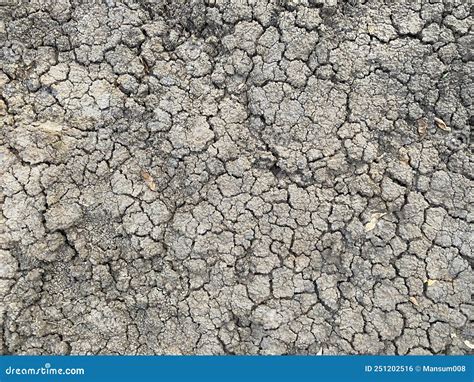 Dry Crack Soil Texture In Country Thailand Stock Photo Image Of Arid