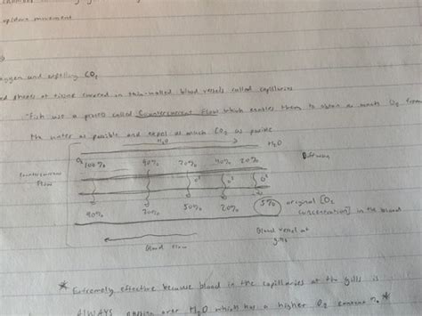 Biology - Vertebrates Flashcards | Quizlet 