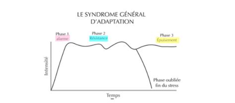 Psycho Chapitre Flashcards Quizlet