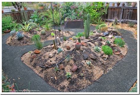 Mounded Garden Beds Fasci Garden