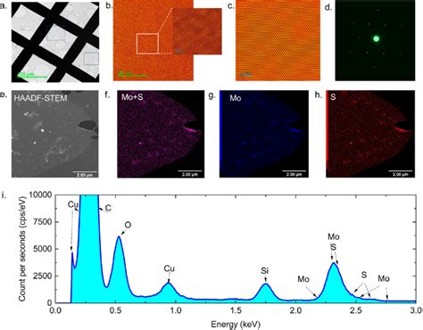 Structural Characterization Of Cvd Cpp Mos 2 Monolayers A Tem Image