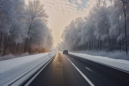 冬季森林中的道路高清图片下载 正版图片600339967 摄图网