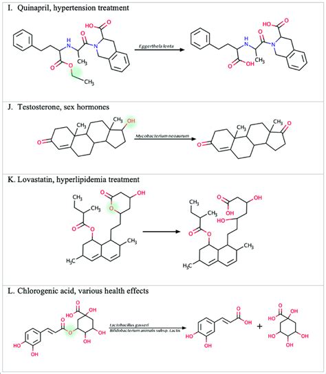 Illustration of some examples of microbial drug metabolism. (A) Shows ...