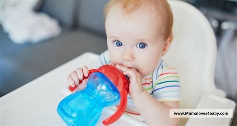 6 Best Sippy Cups For Speech Development In 2022 And 2023 Mamaloves4baby