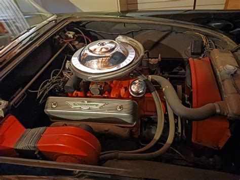 RDD Luxury Goods Auction: Discover the Latest Trends 1