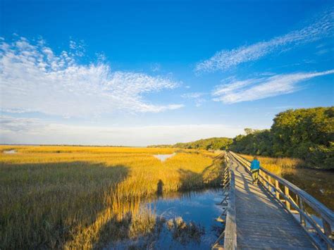 Cumberland Island National Seashore | Official Georgia Tourism & Travel Website | Explore ...